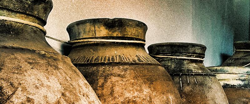 Vinhos: Uma longa história