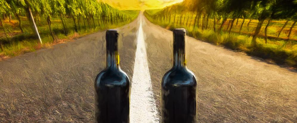 Vitivinicultura Brasileira